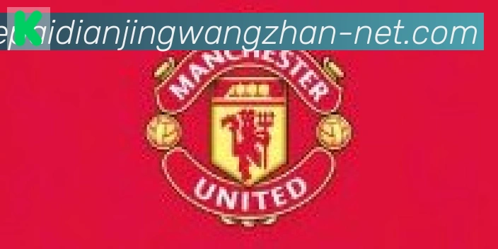 乐派电竞官方网站合作伙伴
