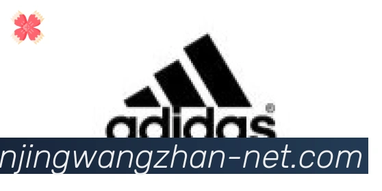 乐派电竞官方网站合作伙伴